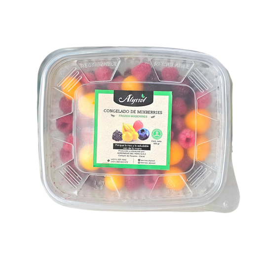 Mix berries 500g Alyssol