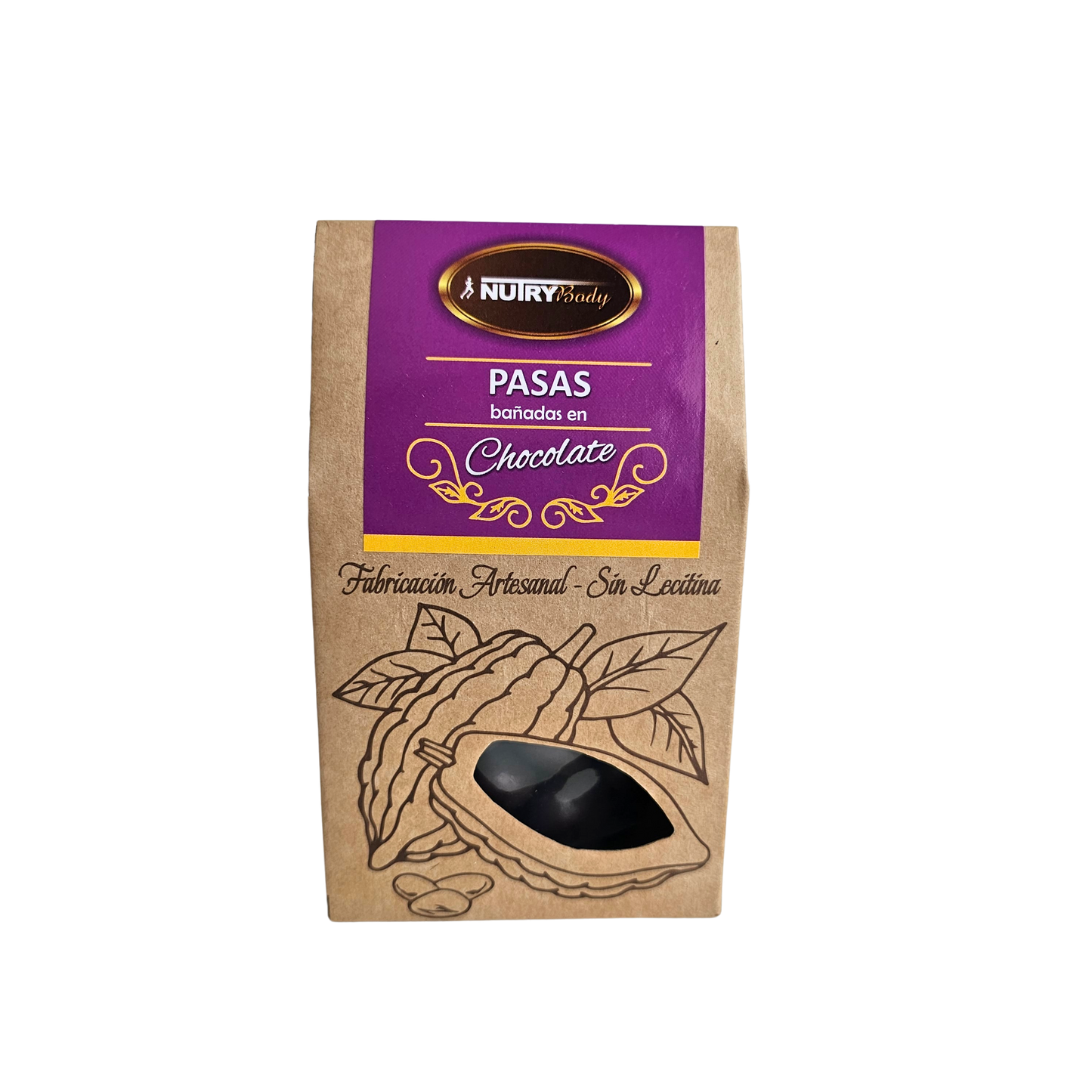 Pasas bañadas en chocolate 100g Nutry Body