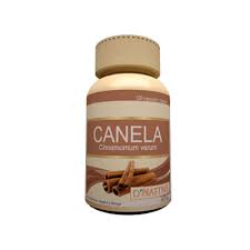 CANELA EN CAPSULAS DNATTIVE