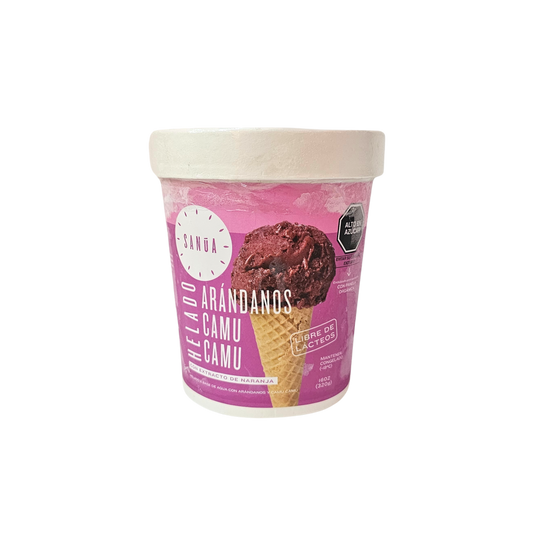 Helado arándano y camu camu 320g Sanua