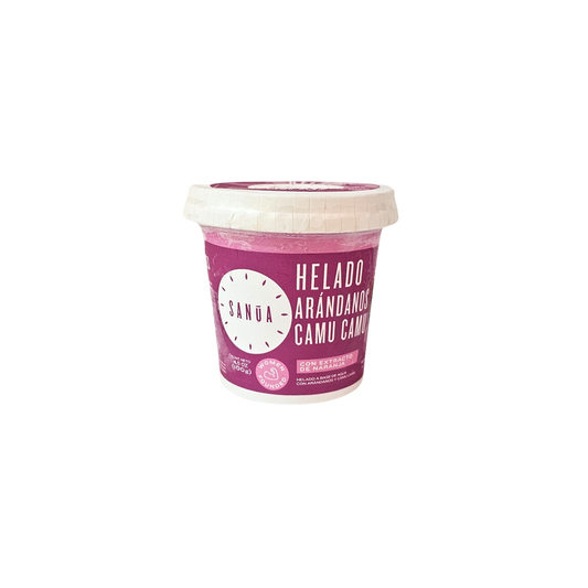 Helado arándano y camu camu 100g Sanua
